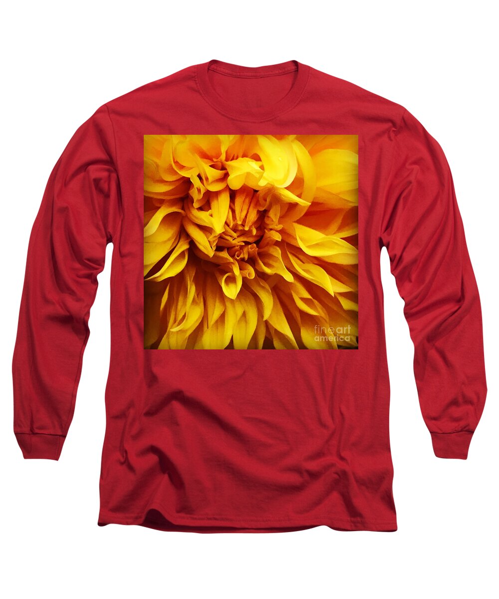 Yellow Long Sleeve T-Shirt featuring the photograph Yellow Dalia by Suzanne Lorenz