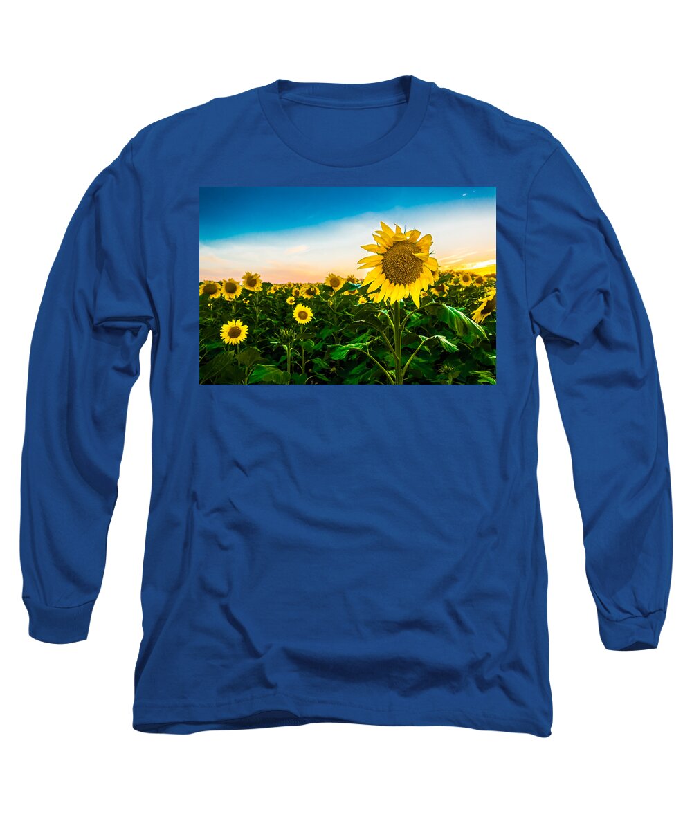 Blue Sky Long Sleeve T-Shirt featuring the photograph Standing Tall Sunflower by Melinda Ledsome