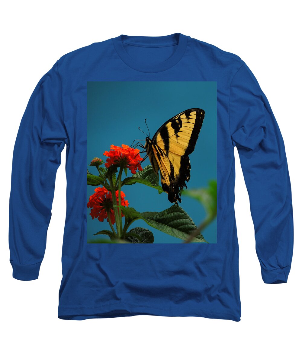 A Butterfly Long Sleeve T-Shirt featuring the photograph A Butterfly by Raymond Salani III