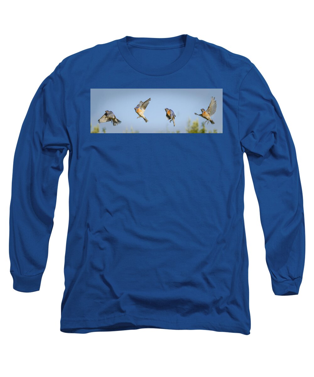 Birds Long Sleeve T-Shirt featuring the photograph Flying by Jean Noren