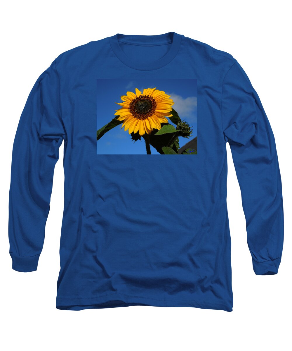 Colette Long Sleeve T-Shirt featuring the photograph Garden Sunflower October by Colette V Hera Guggenheim