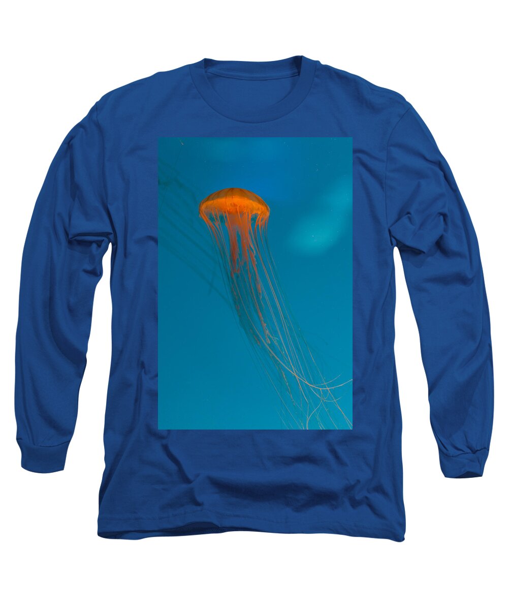 Jellyfish Long Sleeve T-Shirt featuring the photograph Glowing Orange Sea Nettle by Scott Campbell