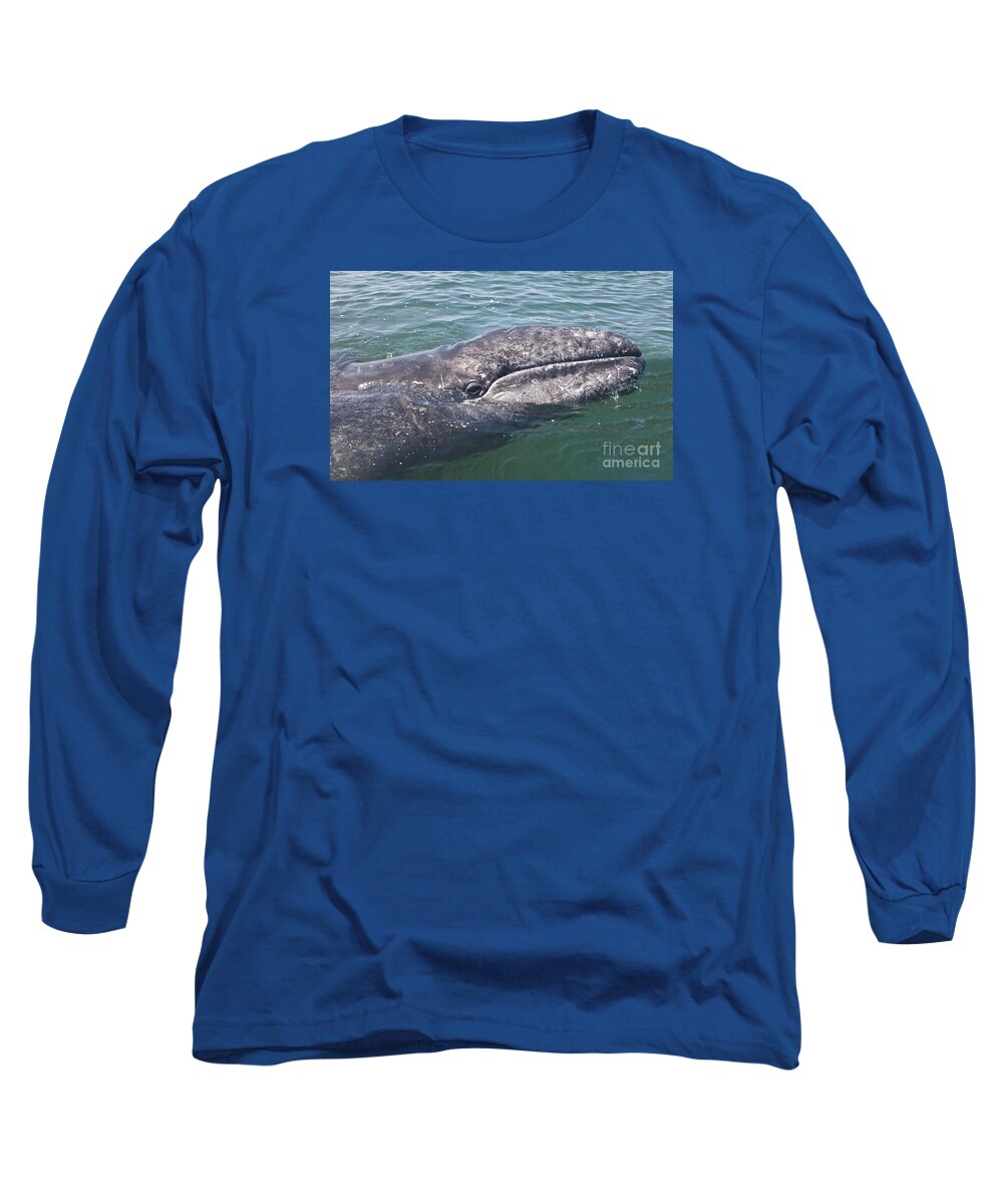 Baja California Long Sleeve T-Shirt featuring the photograph Gray / Grey Whale Eschrichtius robustus by Liz Leyden