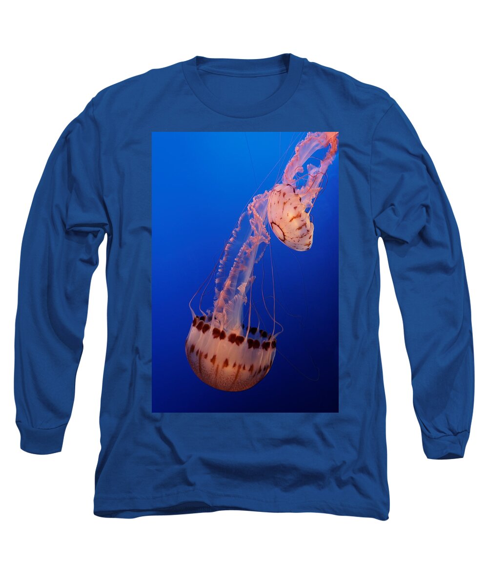 Jelly Long Sleeve T-Shirt featuring the photograph Jelly and Fishy by Alexander Fedin