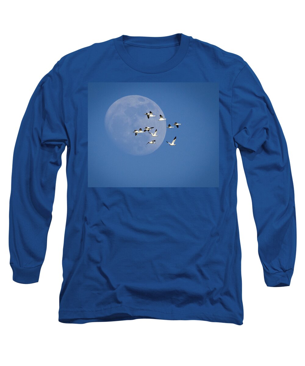 Snow Geese Long Sleeve T-Shirt featuring the photograph North Bound by Jack Bell