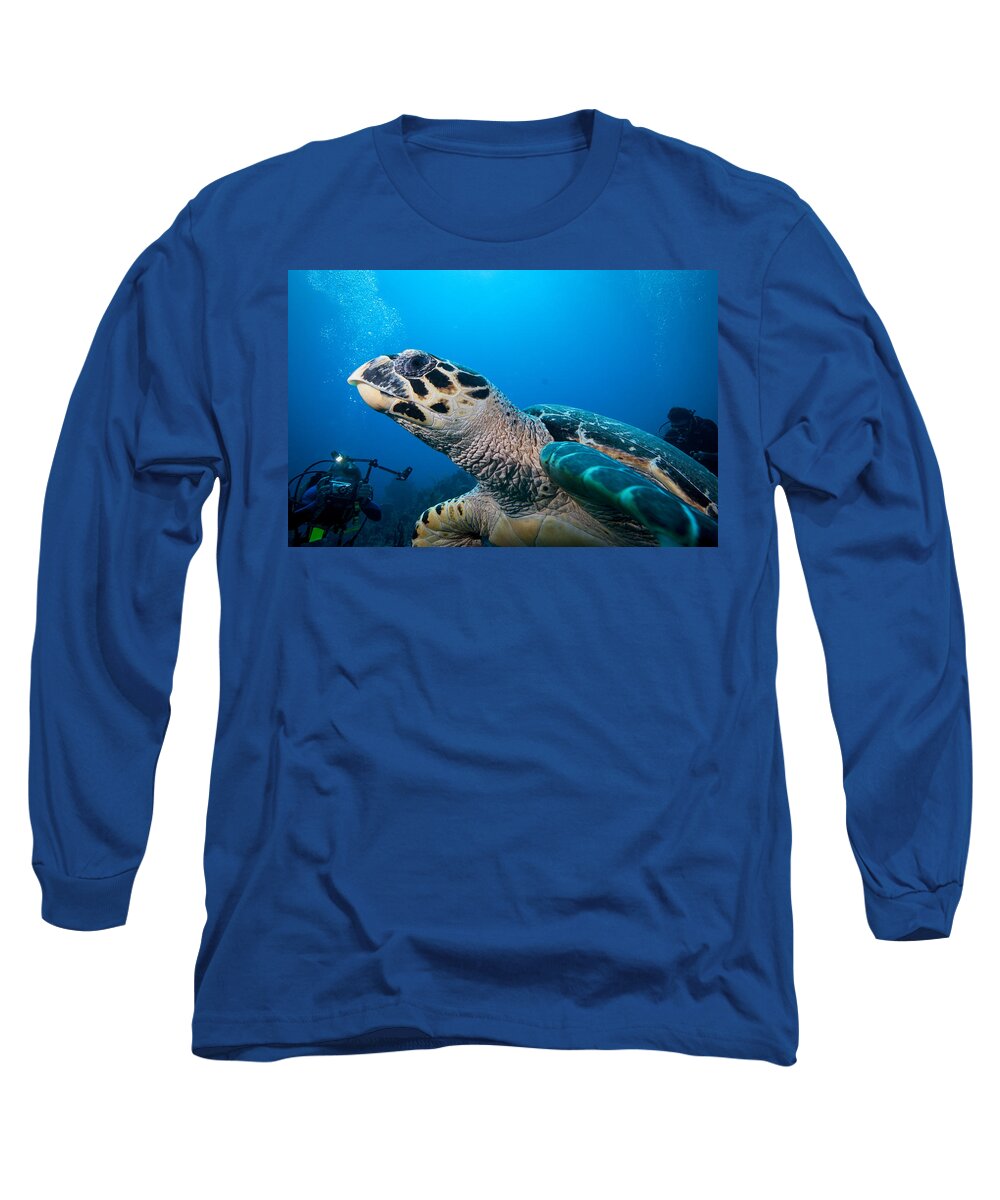 Hawksbill Turtle Long Sleeve T-Shirt featuring the photograph Oh that Paparazzi by Jean Noren