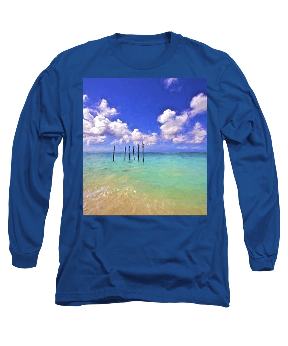 Aruba Long Sleeve T-Shirt featuring the painting Pelicans of Aruba by David Letts