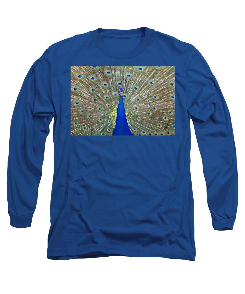 Peacock Long Sleeve T-Shirt featuring the photograph Showing Off by Shoal Hollingsworth
