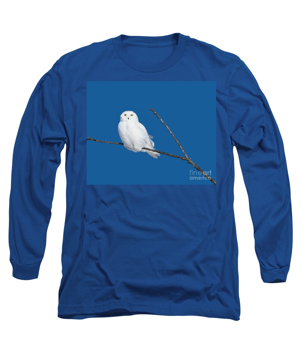 Wildlife Photography Long Sleeve T-Shirt featuring the photograph Soaking up the sun by Heather King