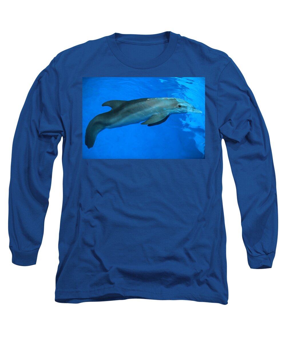 Nature Long Sleeve T-Shirt featuring the photograph Winter the Dolphin by Doug McPherson