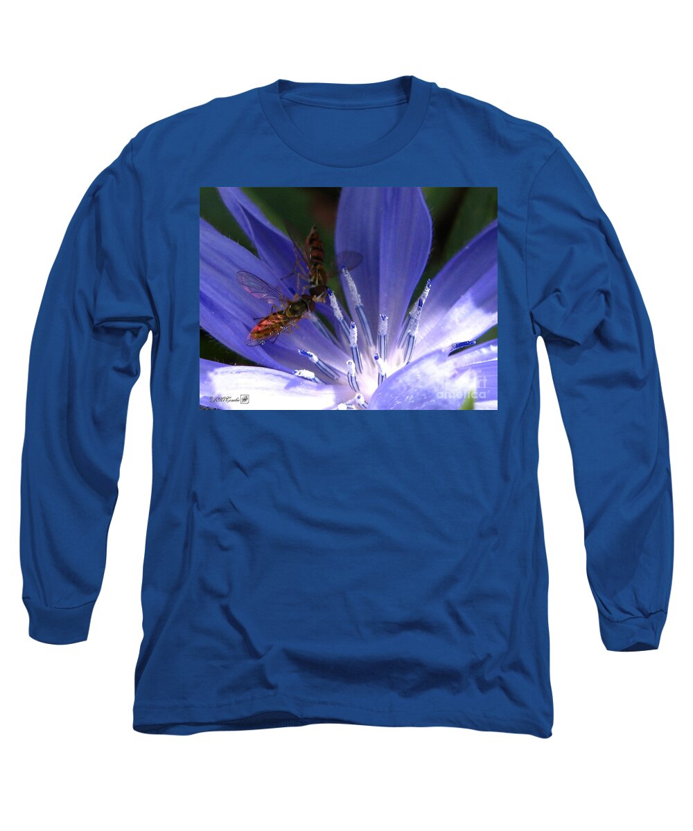 Chicory Long Sleeve T-Shirt featuring the photograph A Quiet Moment on the Chicory by J McCombie