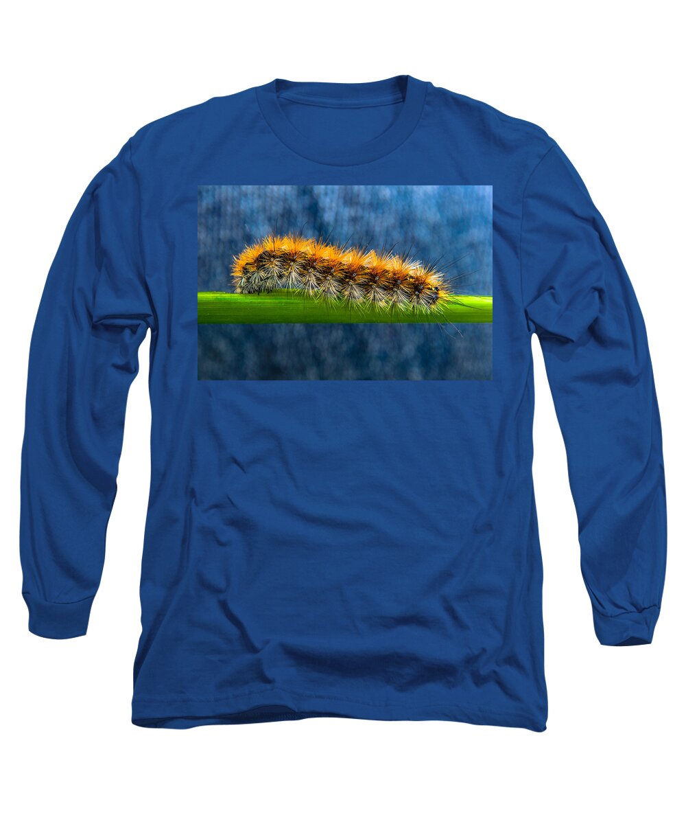 Animal Long Sleeve T-Shirt featuring the photograph Butterfly Caterpillar Larva On The Stem by Michael Goyberg
