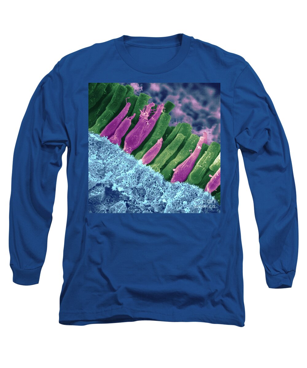 Scanning Electron Micrograph Long Sleeve T-Shirt featuring the photograph Rods And Cones In Retina #7 by Omikron