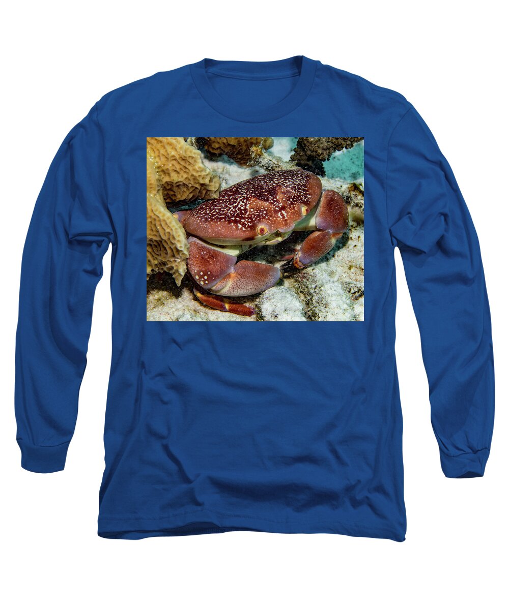 Jean Noren Long Sleeve T-Shirt featuring the photograph Batwing Coral Crab by Jean Noren