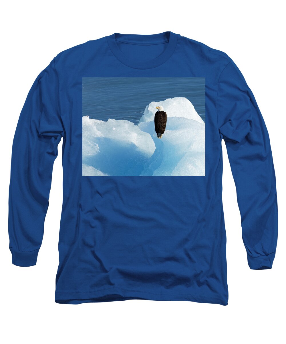 Cold Feet Long Sleeve T-Shirt featuring the photograph Cold Feet -- Bald Eagle on an Iceberg in Disenchantment Bay, Alaska by Darin Volpe