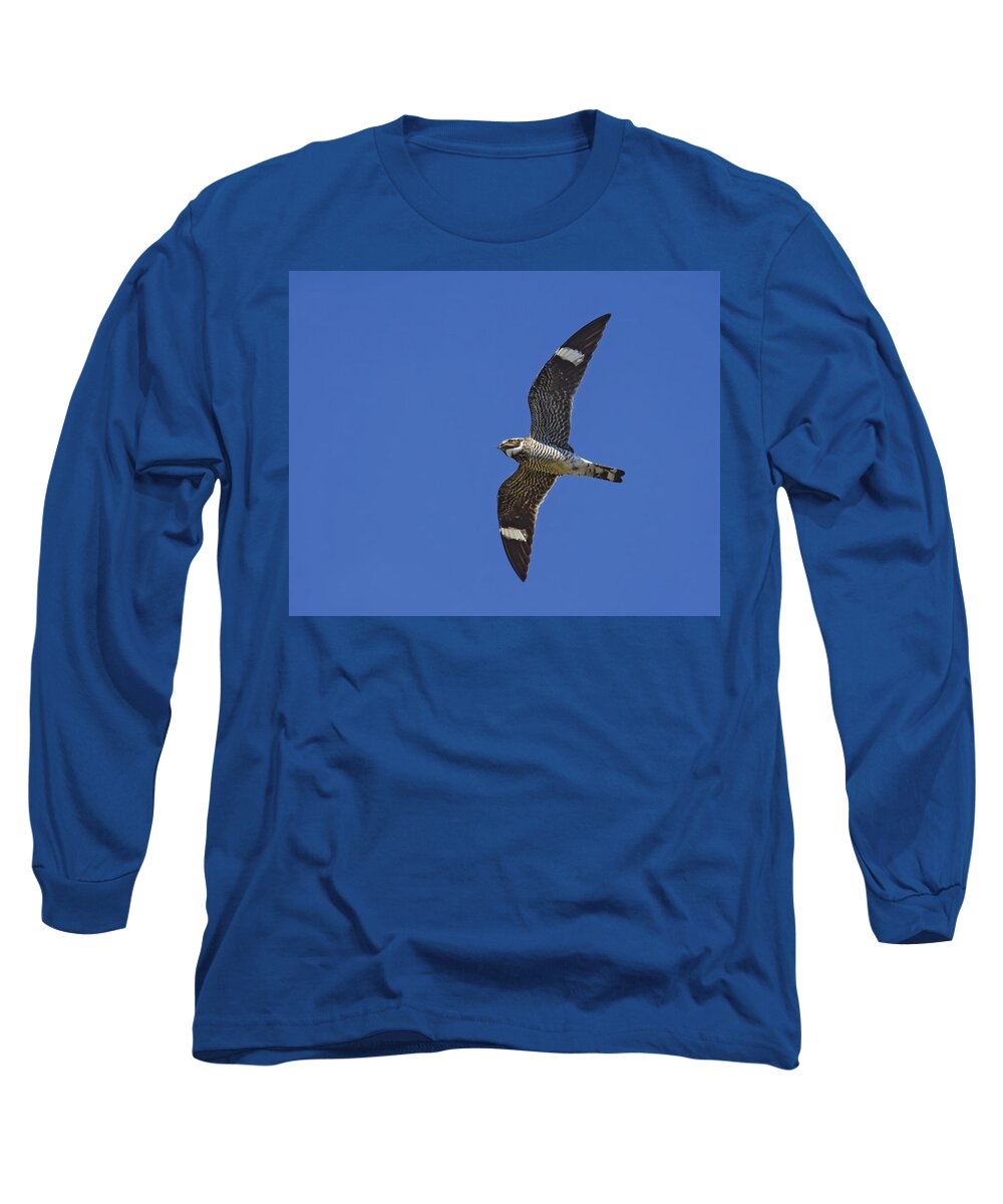 Common Nighthawk Long Sleeve T-Shirt featuring the photograph Common Nighthawk by Tony Beck