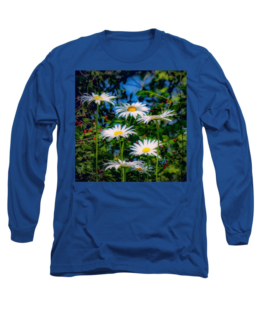  Long Sleeve T-Shirt featuring the photograph Daisies and Friends by Kendall McKernon