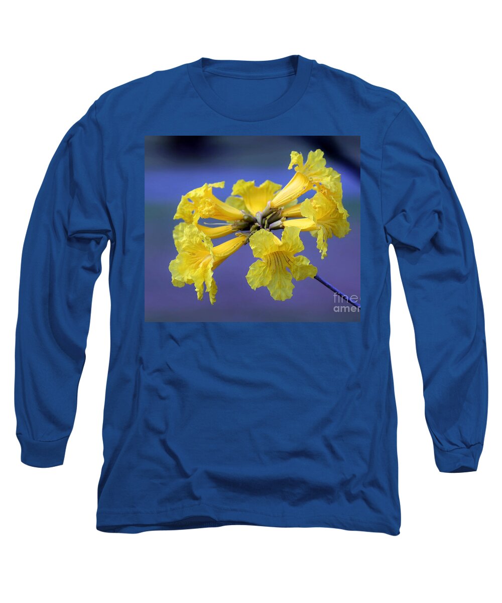 Nature Long Sleeve T-Shirt featuring the photograph Golden Raintree Bloom by Diann Fisher