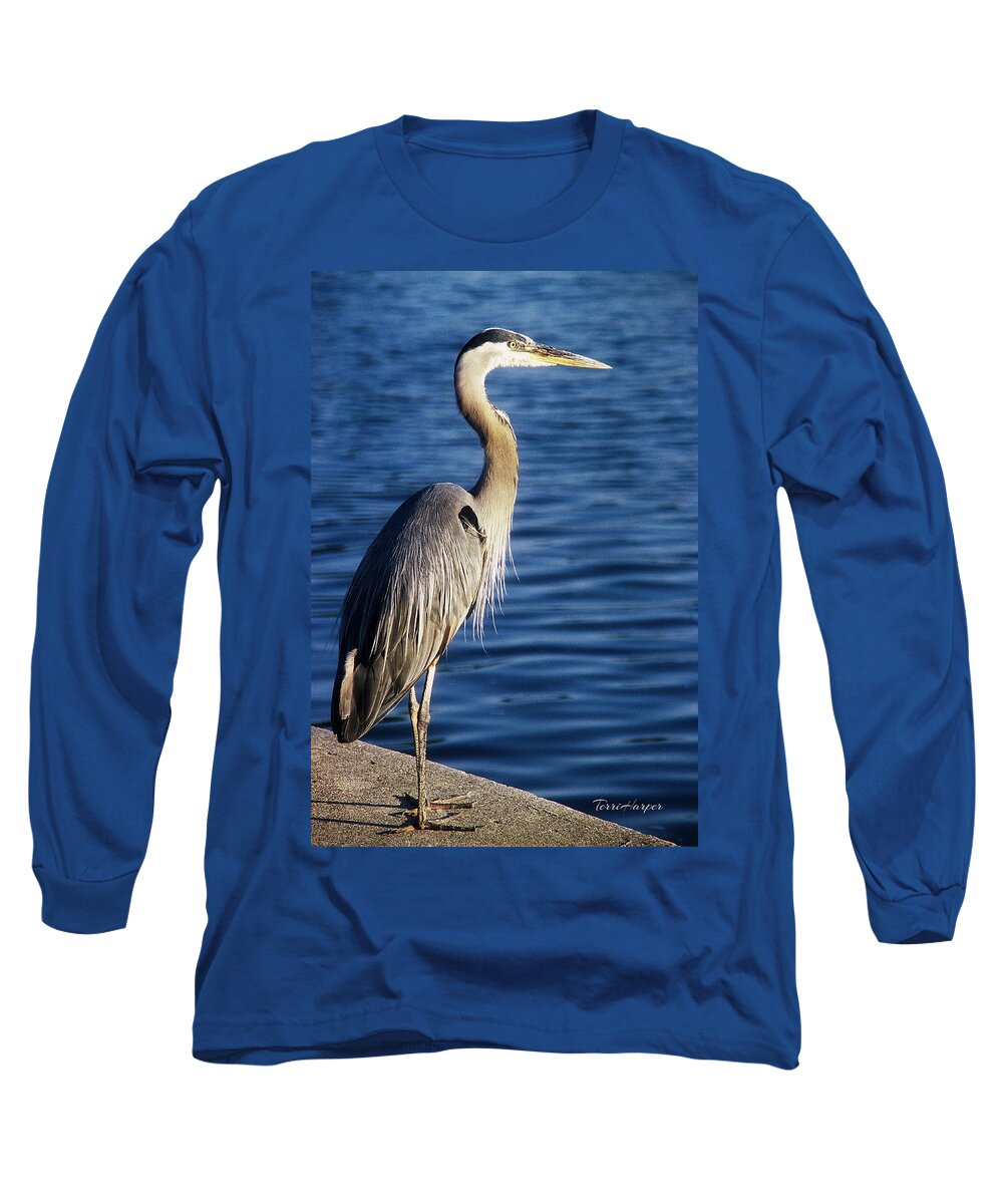 Great Blue Heron Long Sleeve T-Shirt featuring the photograph Great Blue Heron At Put-in-Bay by Terri Harper