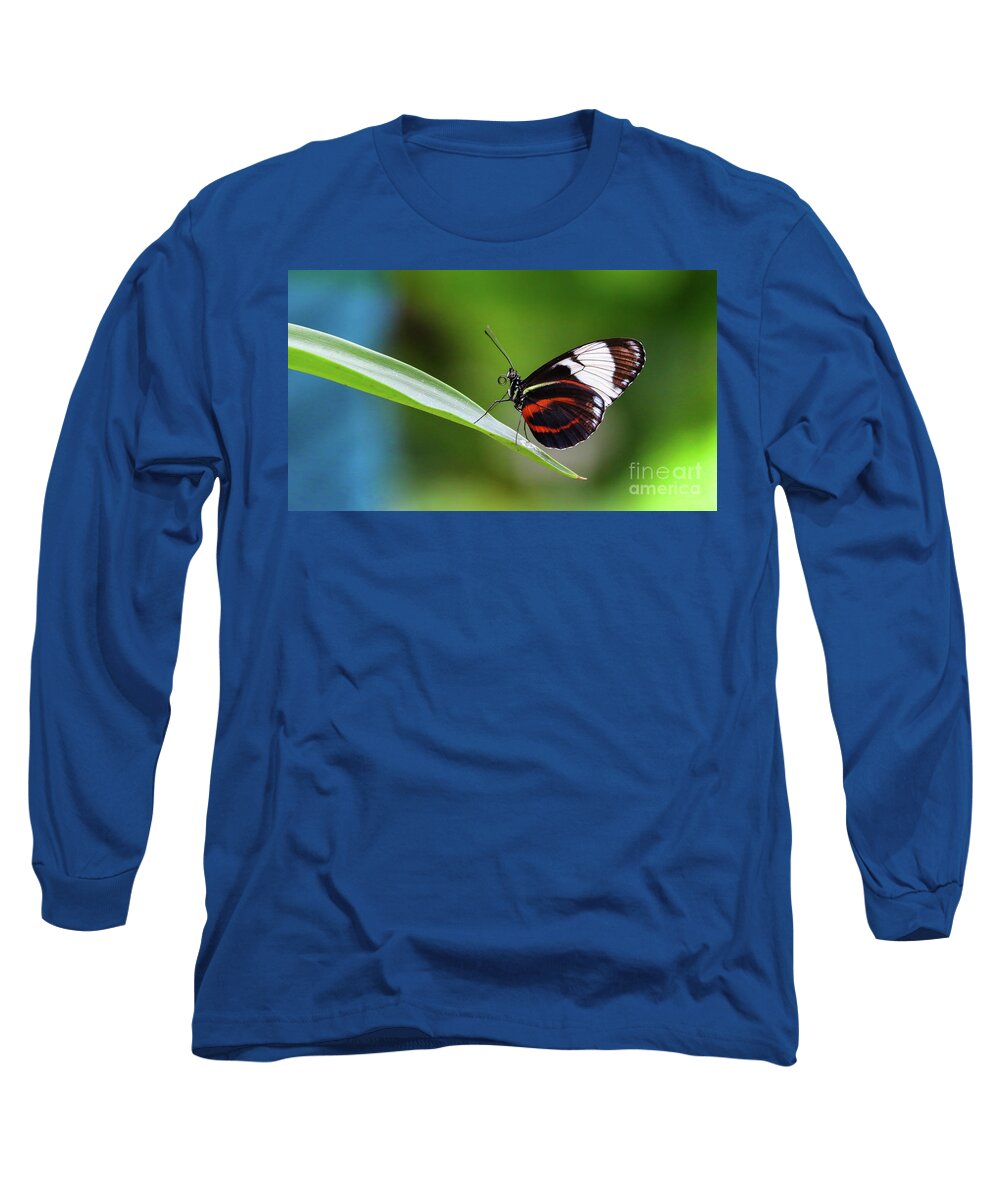 Butterfly Long Sleeve T-Shirt featuring the photograph Heliconius by Franziskus Pfleghart