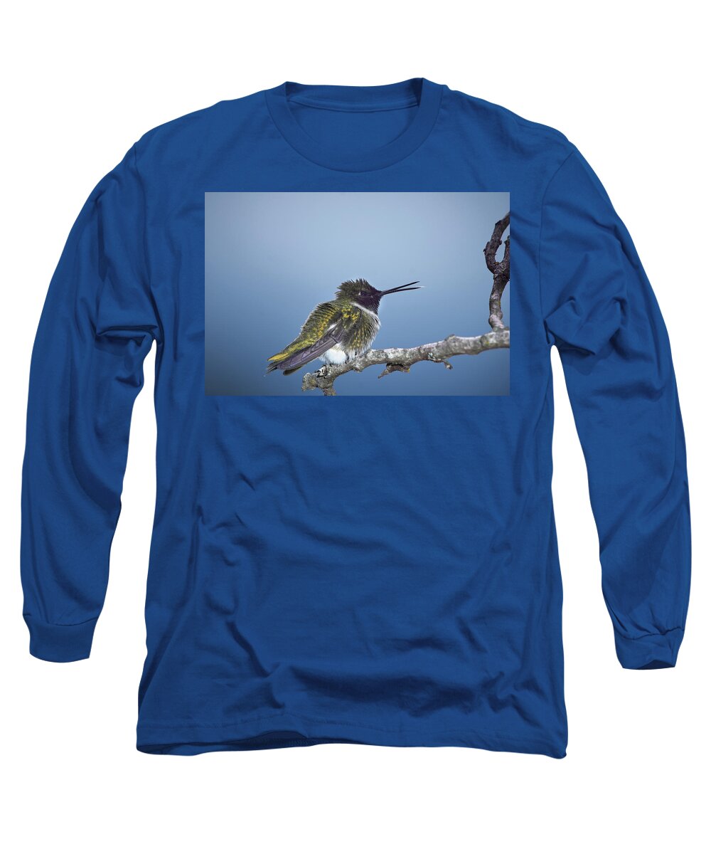Hummingbird Long Sleeve T-Shirt featuring the photograph Hummingbird12 by Loni Collins