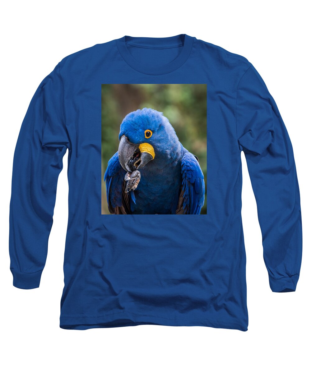 Macaw Long Sleeve T-Shirt featuring the photograph Hyacinth Macaw by Patti Deters