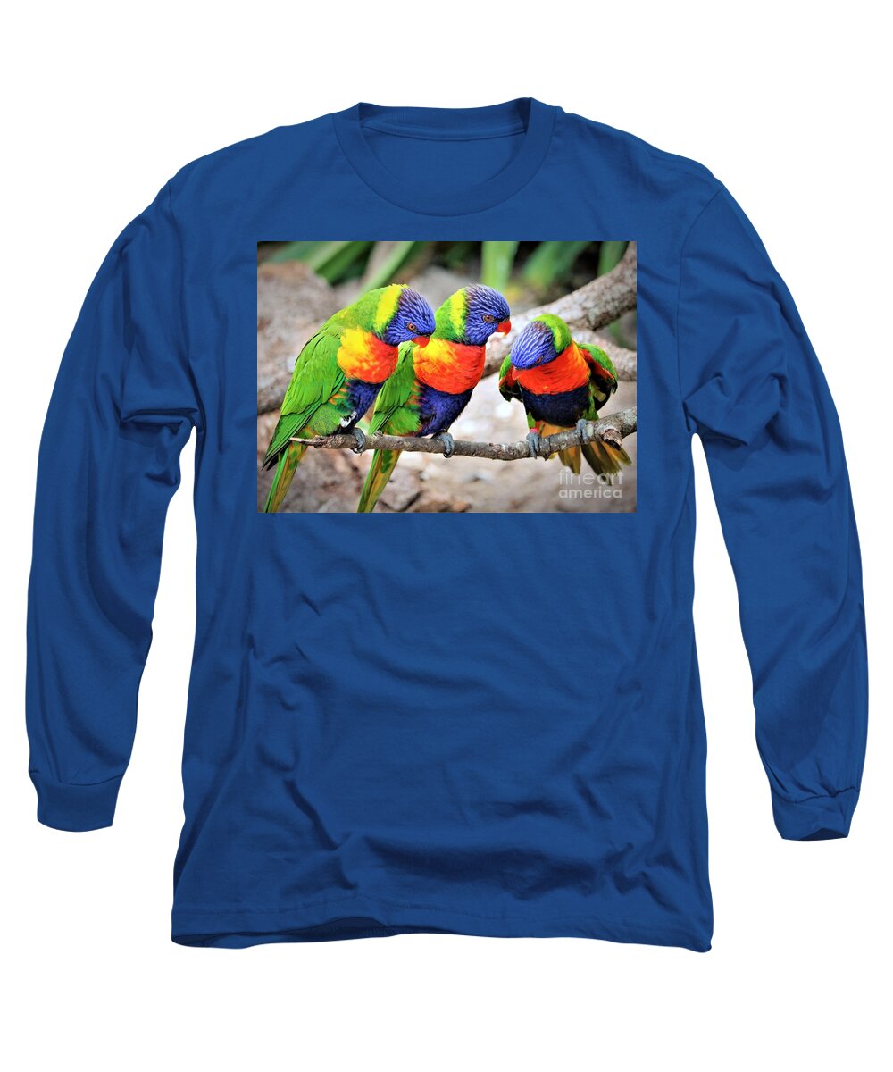 Bird Long Sleeve T-Shirt featuring the photograph Lorikeet Trio Gossip by Diann Fisher