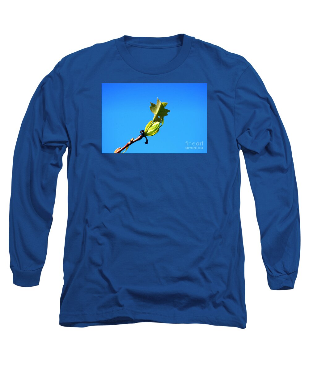 Norway Maple Long Sleeve T-Shirt featuring the photograph Norway Maple Leaf 20120402_171a by Tina Hopkins