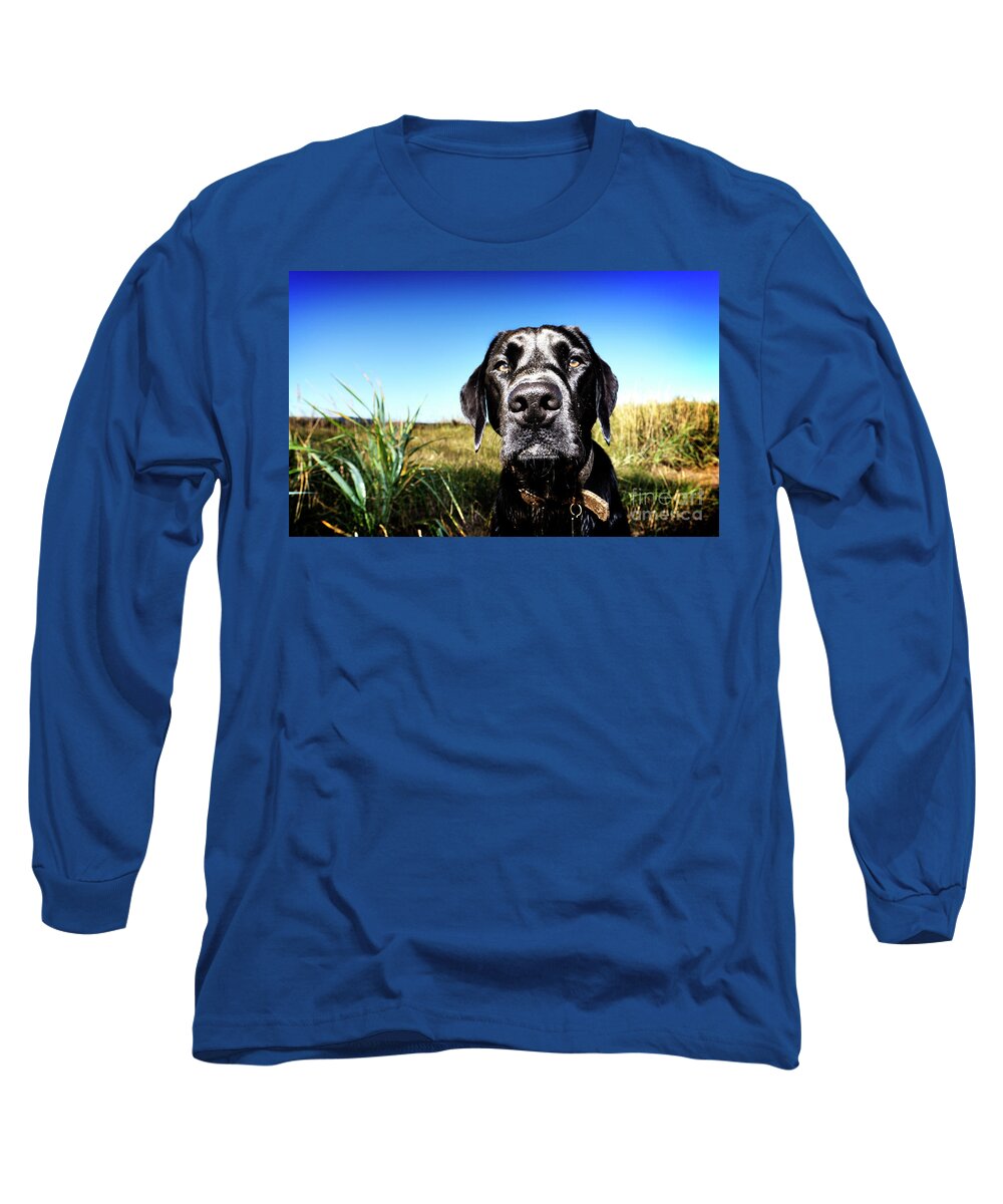 Black Lab Long Sleeve T-Shirt featuring the photograph Portrait of a Black Lab by Phill Thornton
