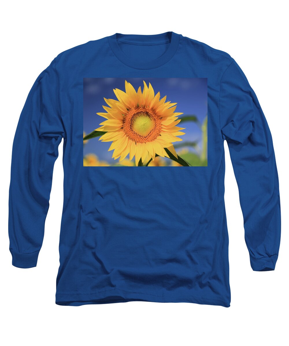 Photosbymch Long Sleeve T-Shirt featuring the photograph Sunflower by M C Hood