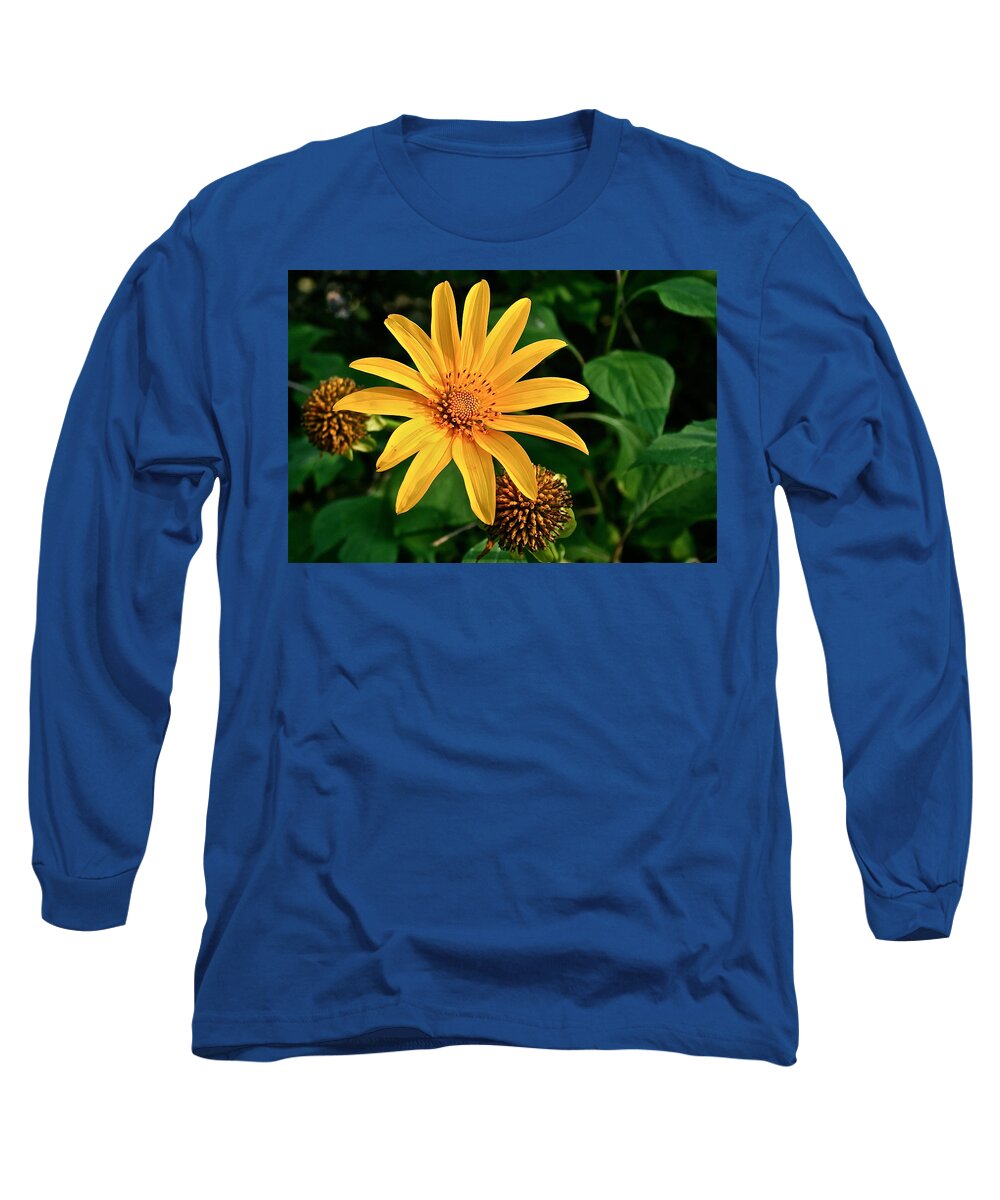 Flower Long Sleeve T-Shirt featuring the photograph Sunshine Cheerleader by Kathleen Scanlan