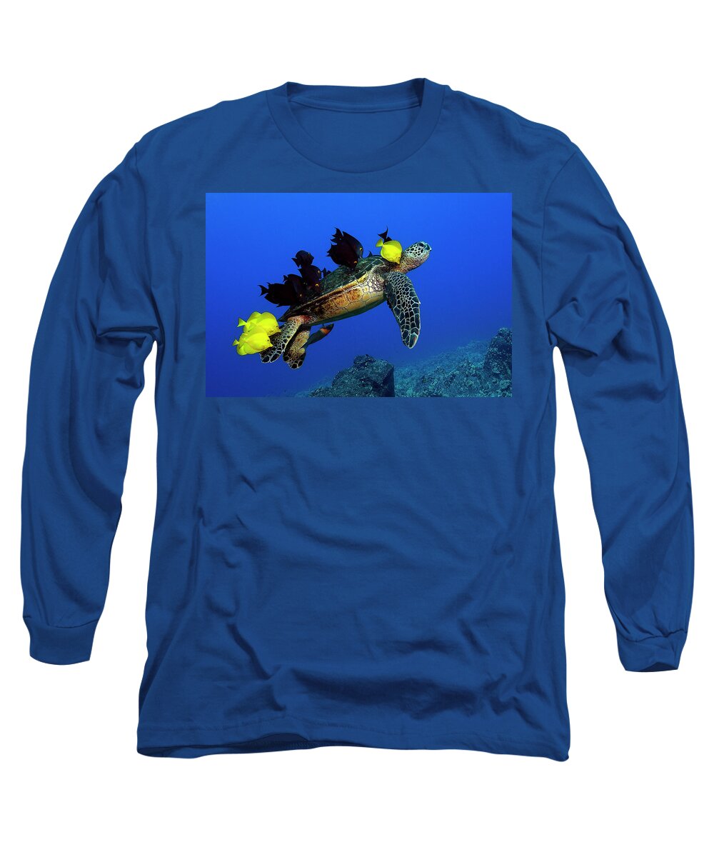 Hawaii Long Sleeve T-Shirt featuring the photograph Turtle grooming by Artesub