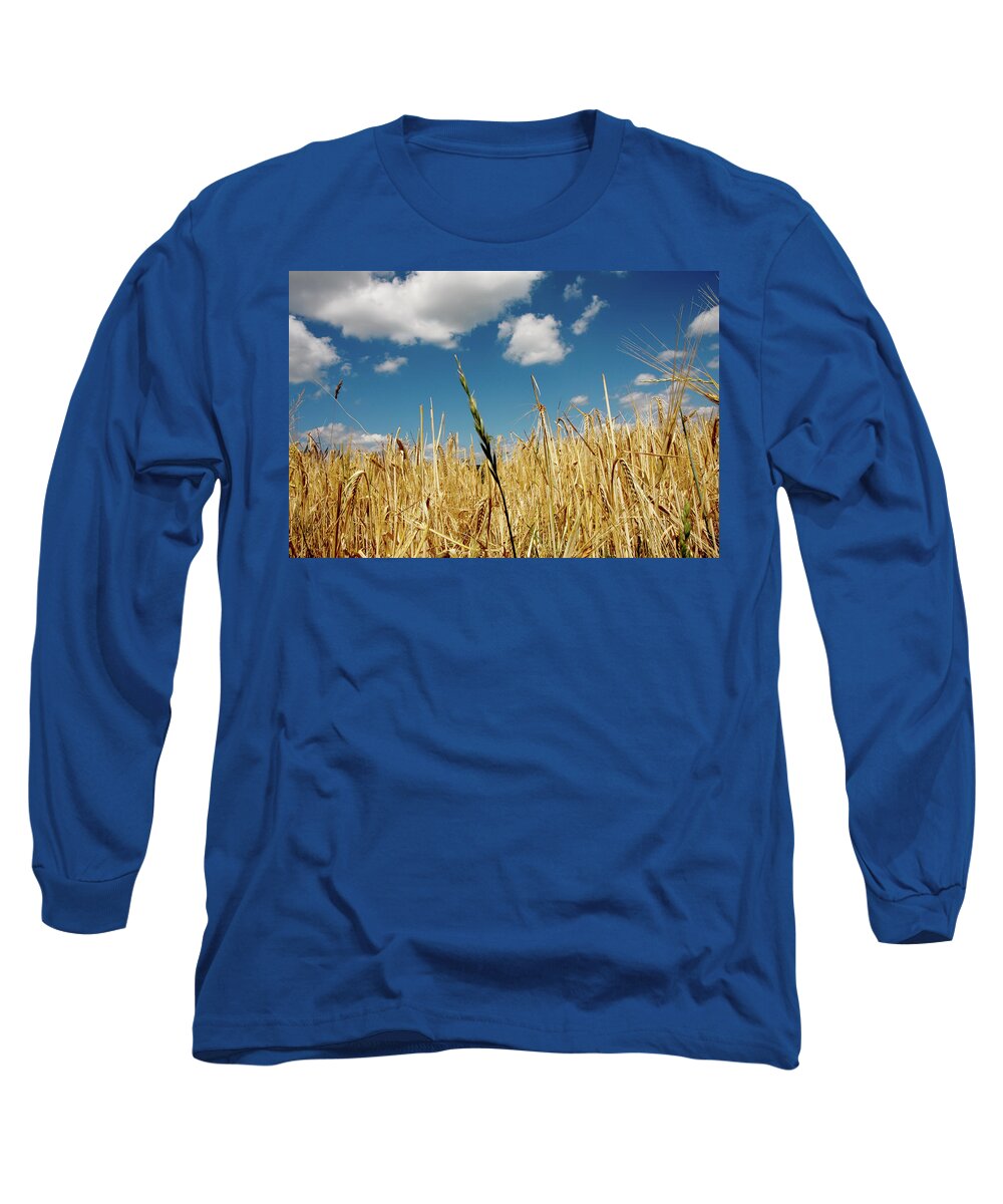 Rudesheim Long Sleeve T-Shirt featuring the photograph Wheat on the Rhine by KG Thienemann