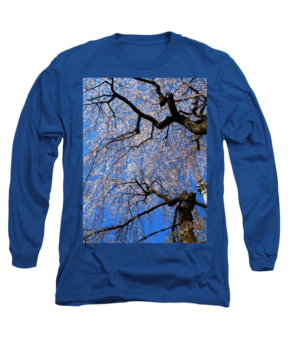 Spring Landscape Long Sleeve T-Shirt featuring the photograph Cherry Blossom Abstract by Mike McBrayer