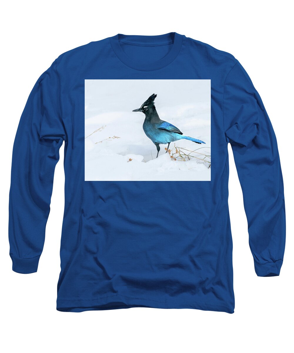 Steller's Long Sleeve T-Shirt featuring the photograph Handsome Steller's Jay in Snow by Judi Dressler
