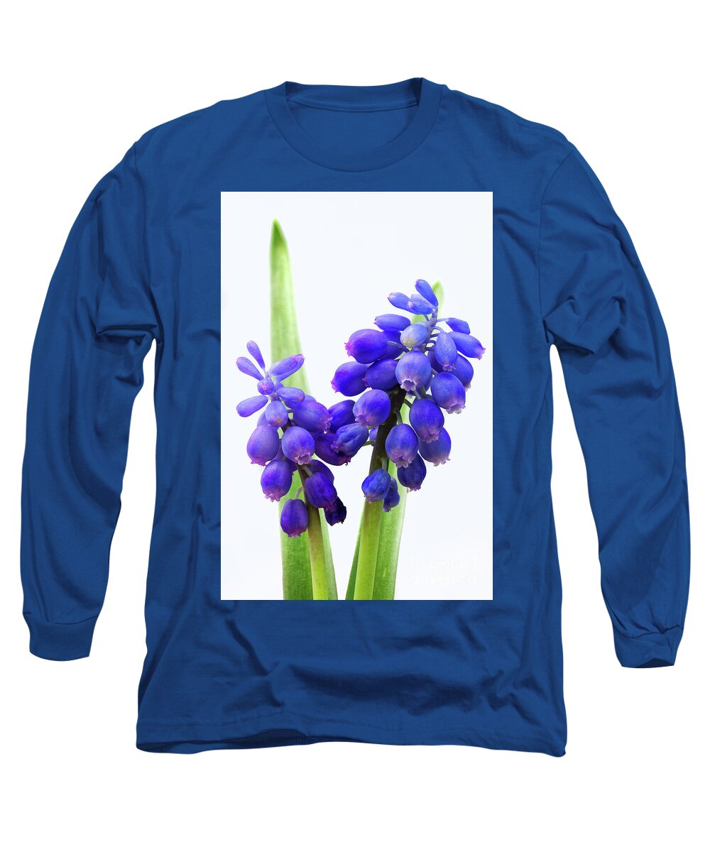 Tiny Long Sleeve T-Shirt featuring the photograph tiny blue bell shaped blue flowers cluster Grape hyacinth Muscar by Robert C Paulson Jr