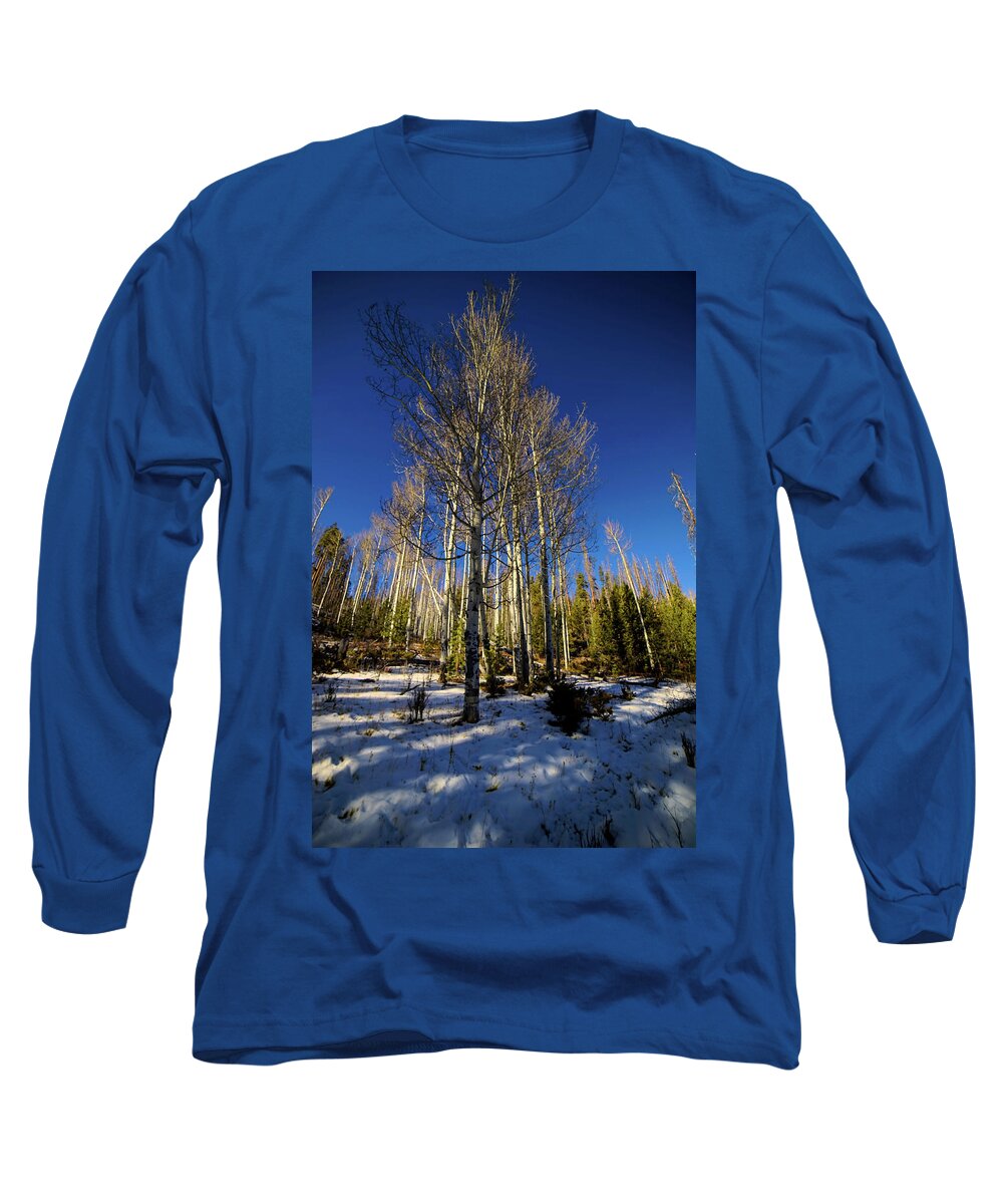 Colorado Aspens Long Sleeve T-Shirt featuring the photograph Light Through The Forest by Cathy Anderson