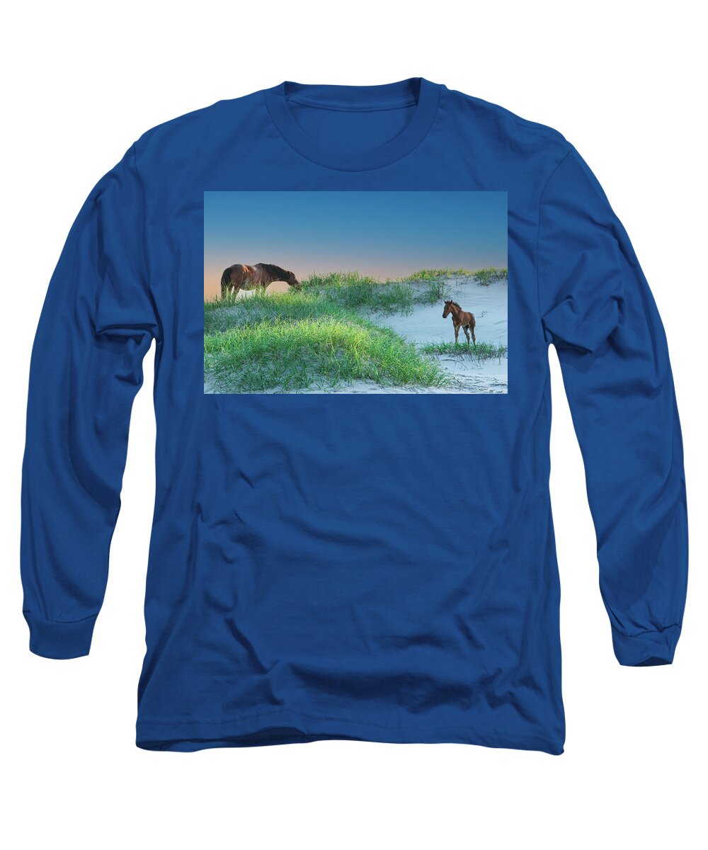 Mare Long Sleeve T-Shirt featuring the photograph Wild Horses by Skip Tribby