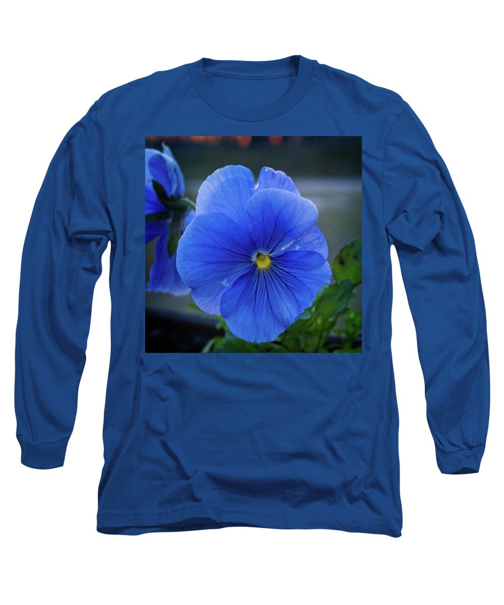 Nature Long Sleeve T-Shirt featuring the photograph Winter Bloom by George Taylor