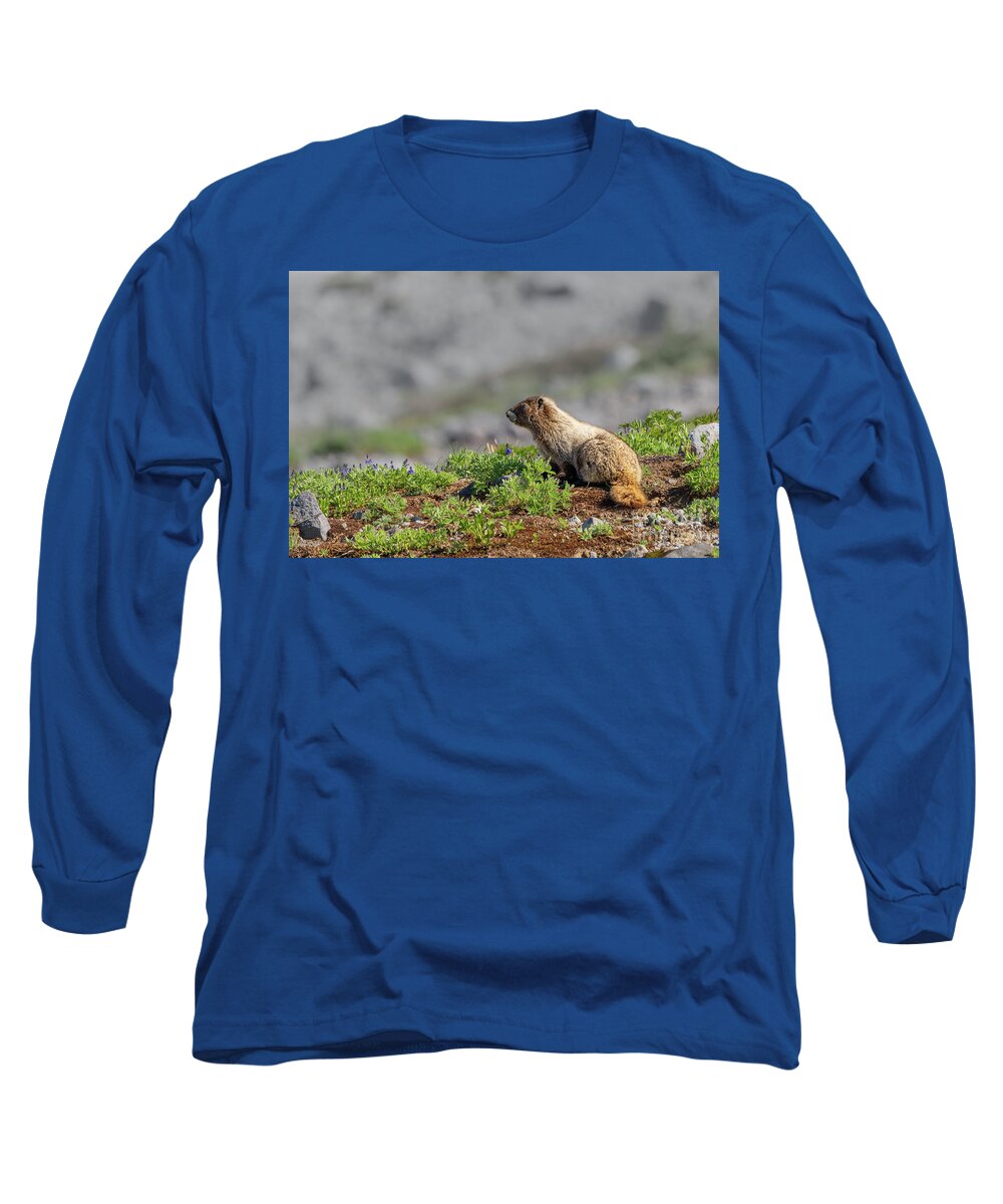 Hoary Marmot Long Sleeve T-Shirt featuring the photograph Young Marmot with Lupine Flowers by Nancy Gleason