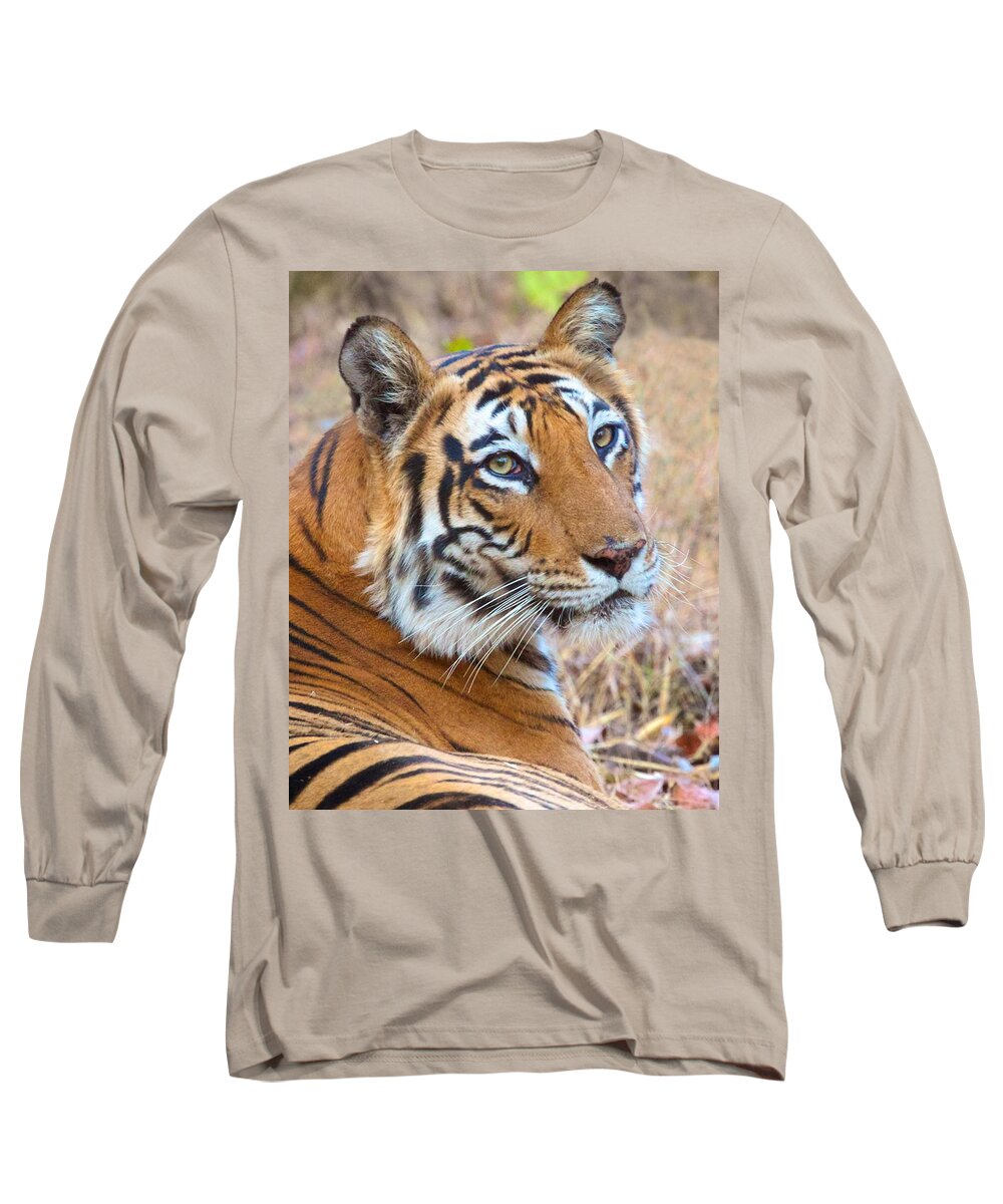India Long Sleeve T-Shirt featuring the photograph Bandhavgarh Tigeress #1 by David Beebe