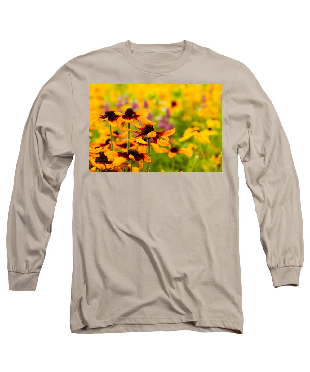 Gloriosa Daisy Long Sleeve T-Shirt featuring the photograph Gloriosa Daisy Wildflowers #1 by Ron Pate