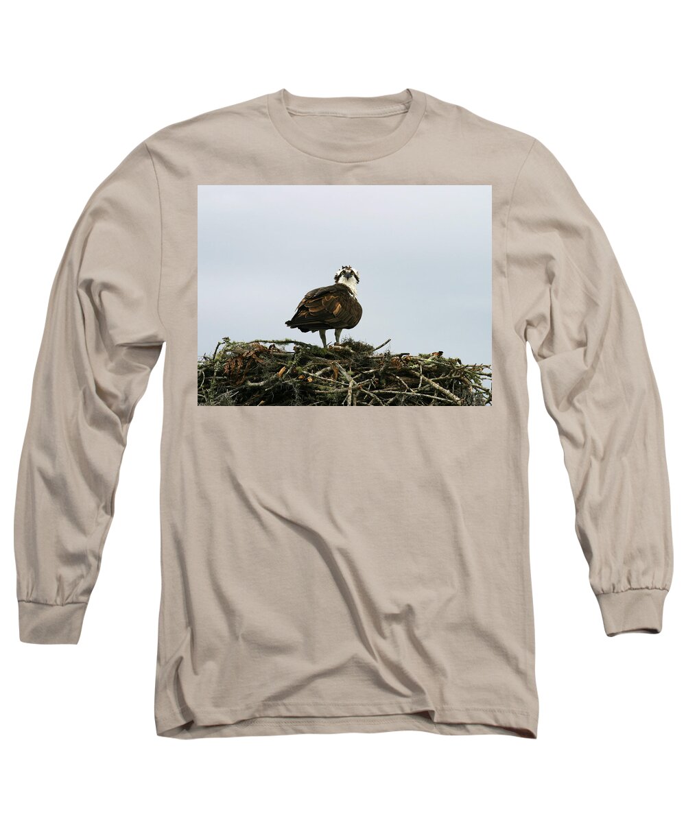 Osprey Long Sleeve T-Shirt featuring the photograph Osprey Nesting #1 by Anthony Jones