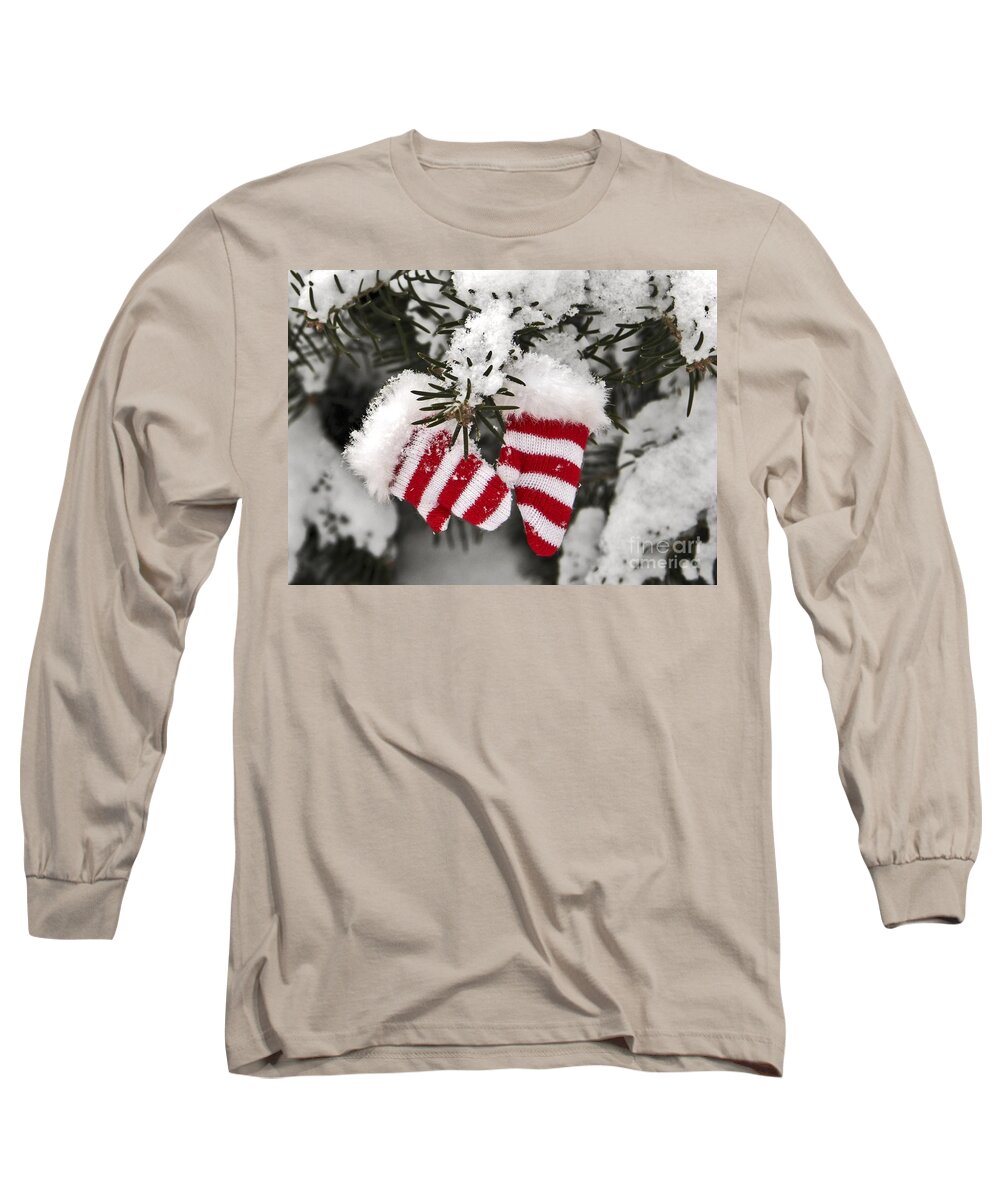 Maine Long Sleeve T-Shirt featuring the photograph Striped by Karin Pinkham