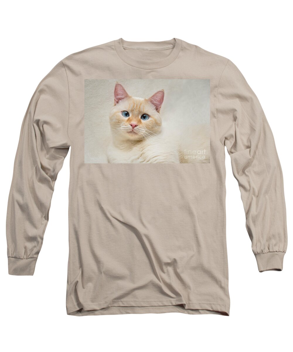 Blue Eyes Long Sleeve T-Shirt featuring the photograph Flame Point Siamese Cat #13 by Amy Cicconi