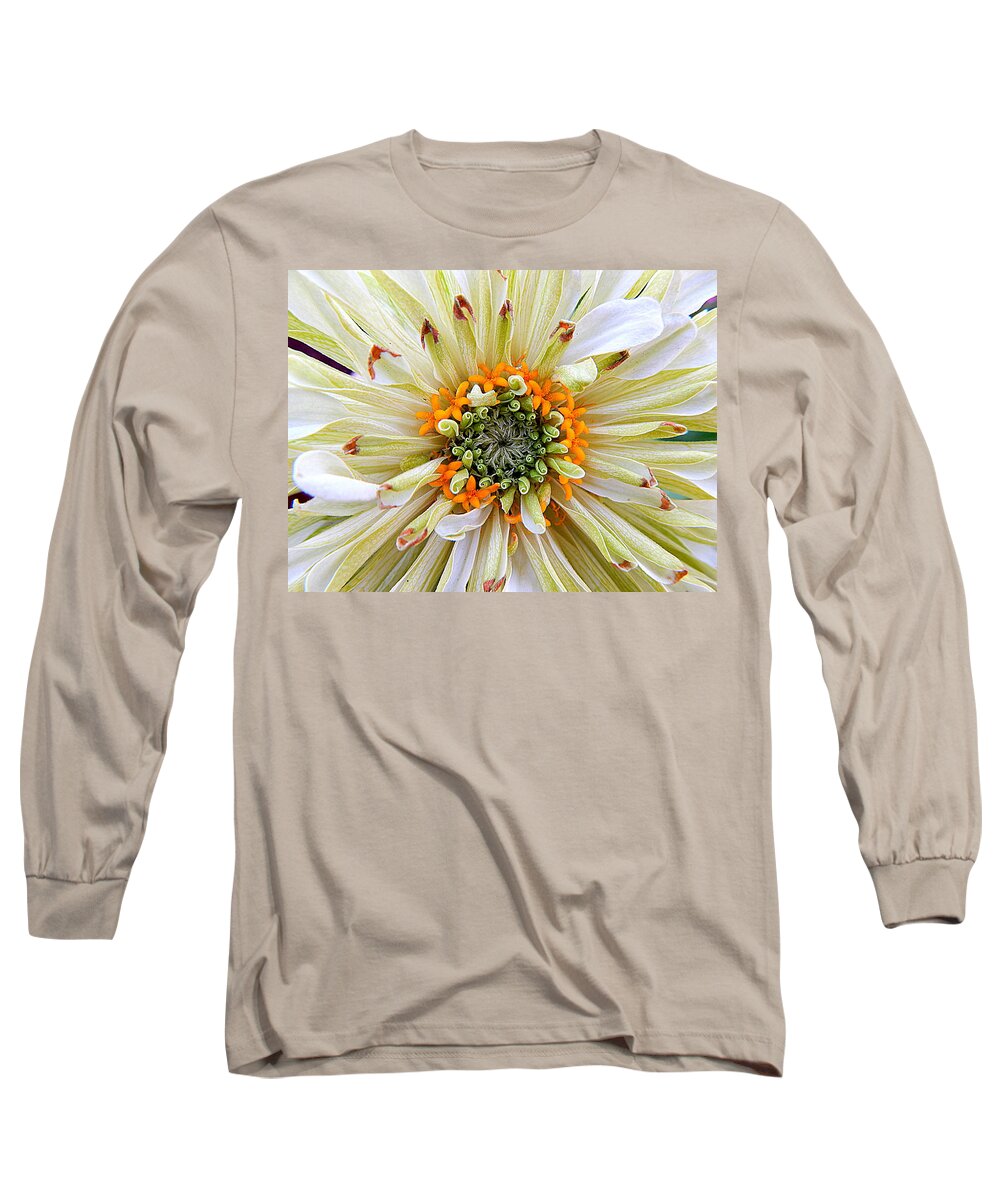 Nola Long Sleeve T-Shirt featuring the photograph Chrysanthemum Fall In New Orleans Louisiana by Michael Hoard