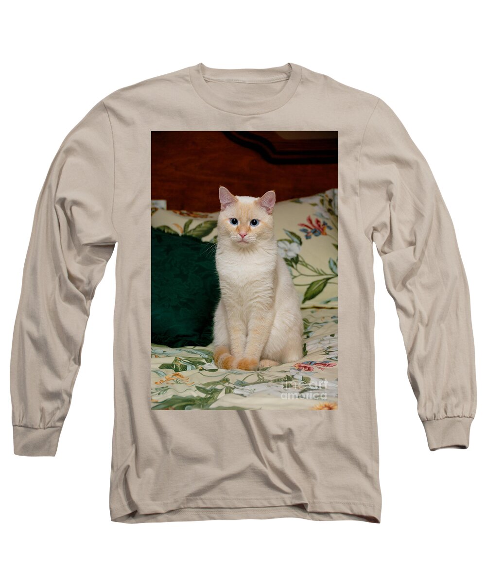 Blue Eyes Long Sleeve T-Shirt featuring the photograph Flame Point Siamese Cat #3 by Amy Cicconi