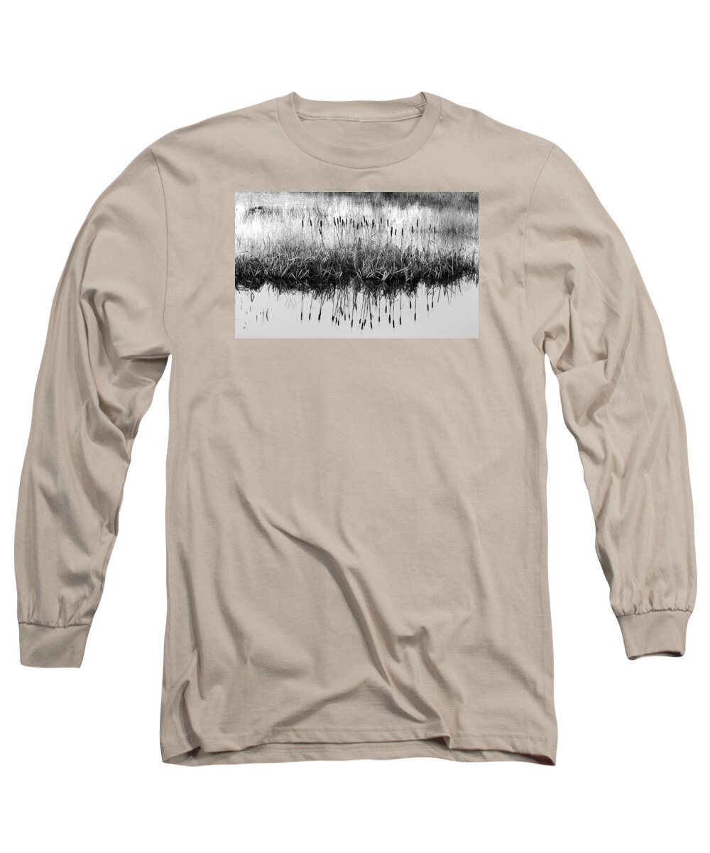 Cattails Long Sleeve T-Shirt featuring the photograph A Winter Bouquet by I'ina Van Lawick