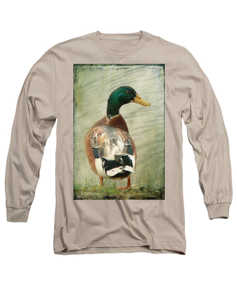 Duck Long Sleeve T-Shirt featuring the photograph Another duck ... by Chris Armytage