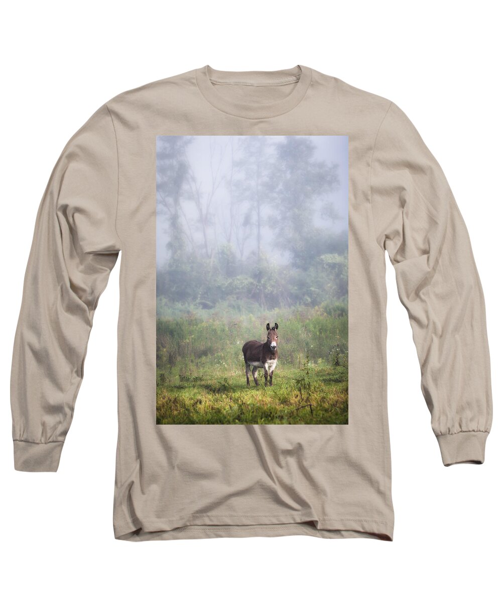 Animals Long Sleeve T-Shirt featuring the photograph August morning - Donkey in the field. by Gary Heller